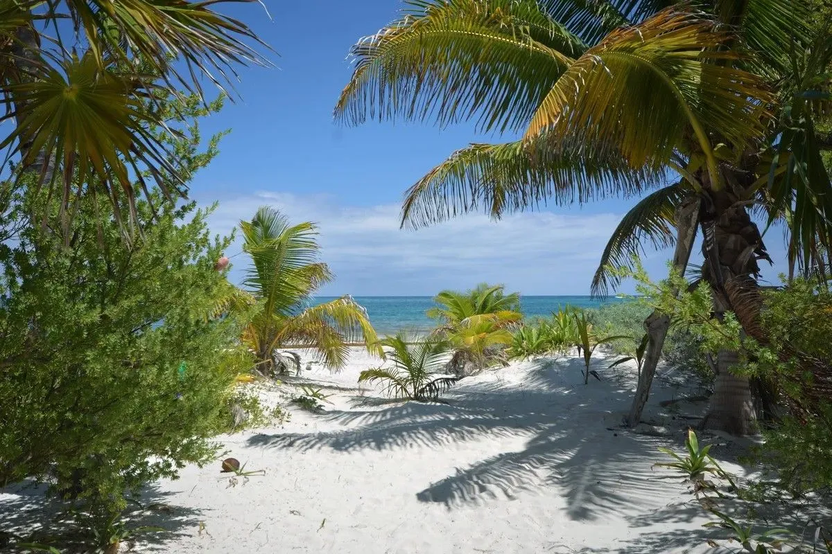 Seaside Paradise 4 Bedroom Villa photo 10
