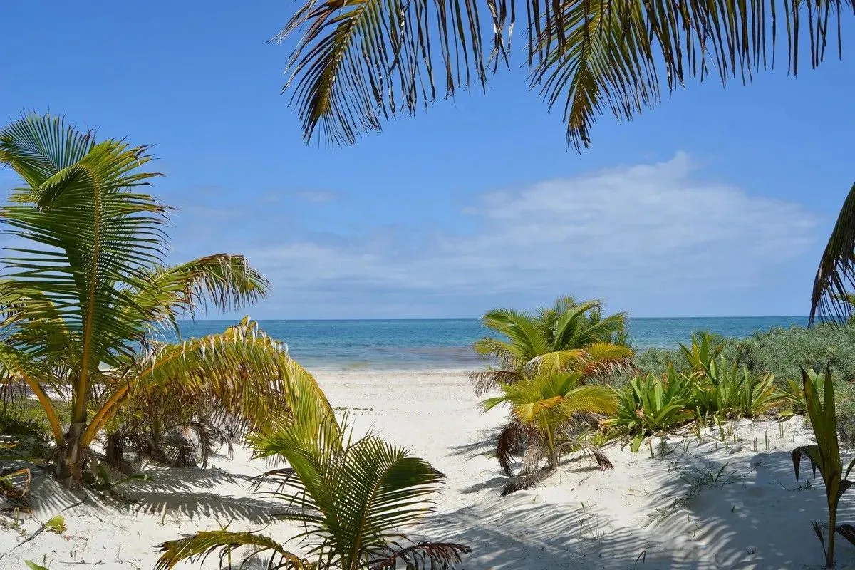 Seaside Paradise 4 Bedroom Villa photo 11